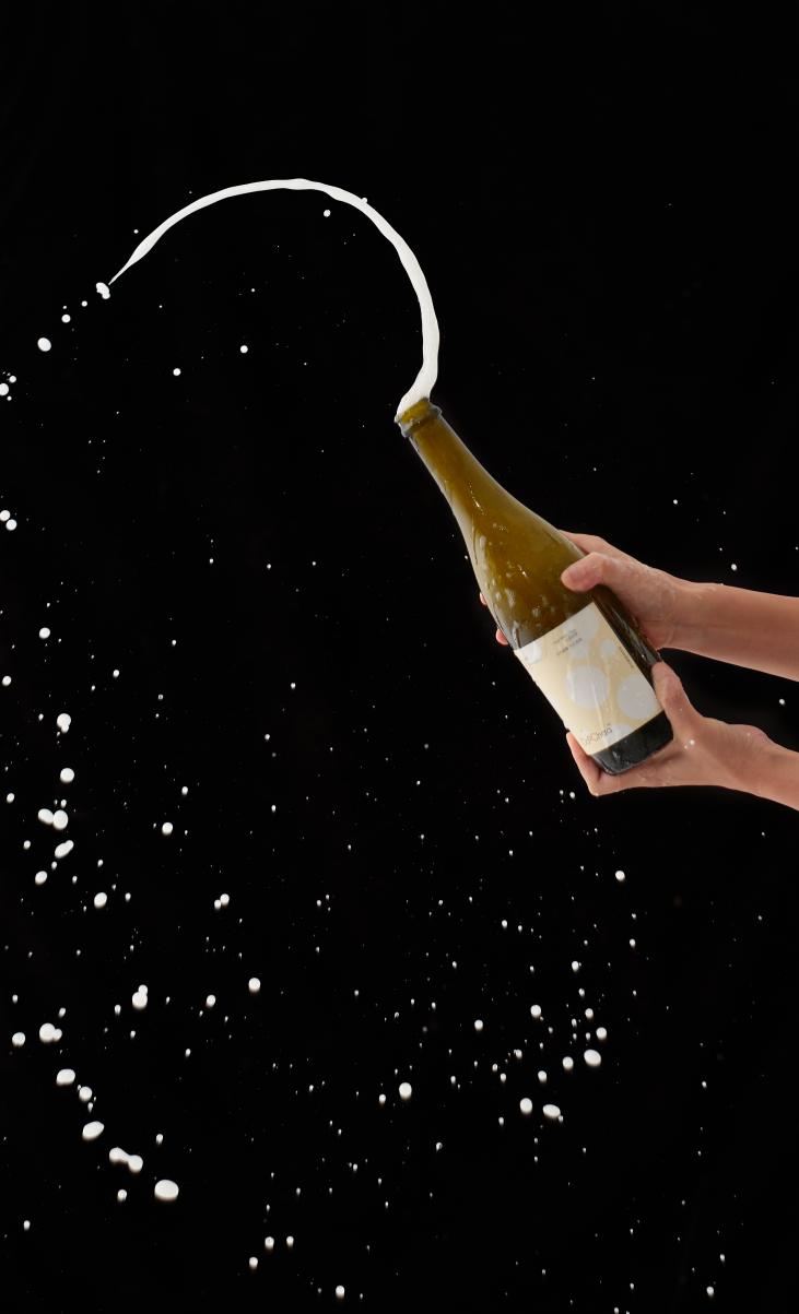 Anji White Tea Kombucha