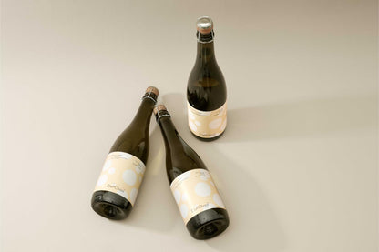 Anji White Tea Kombucha