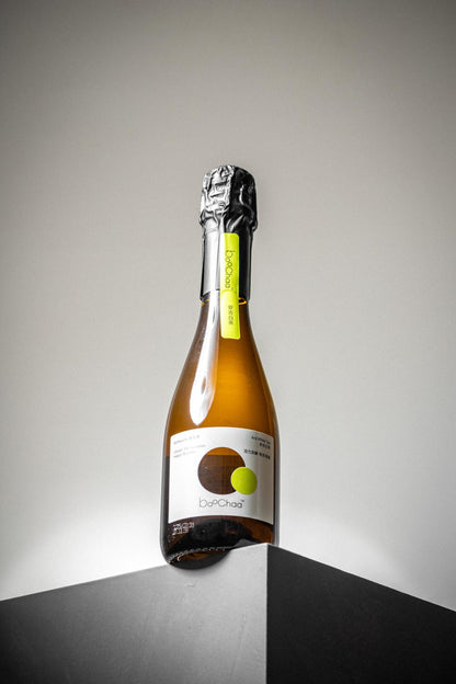 Anji White Tea Kombucha – Mini Light Edition